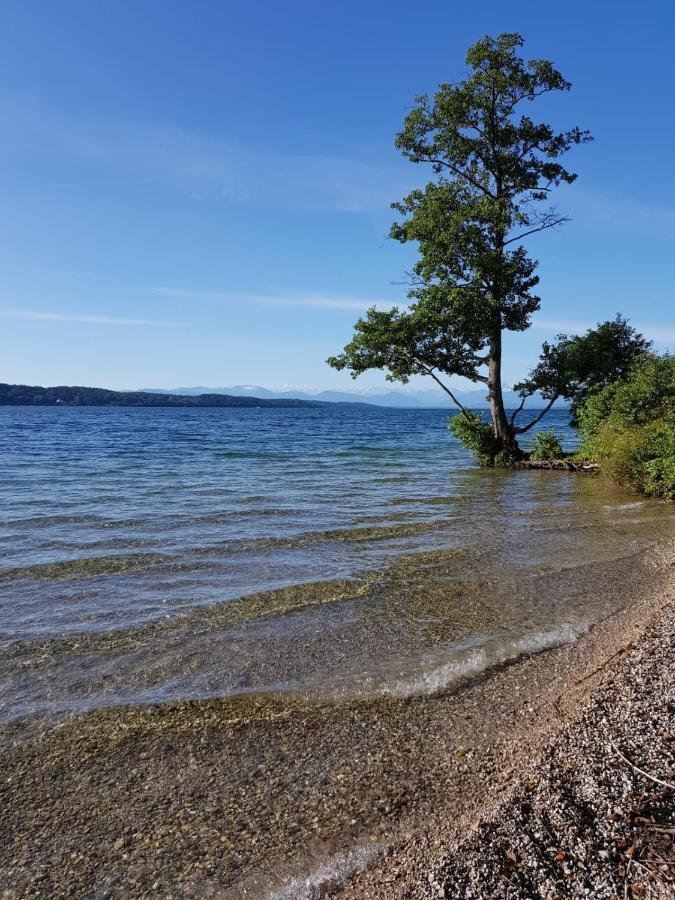 Villa Carpe Diem Vantacici Eksteriør billede